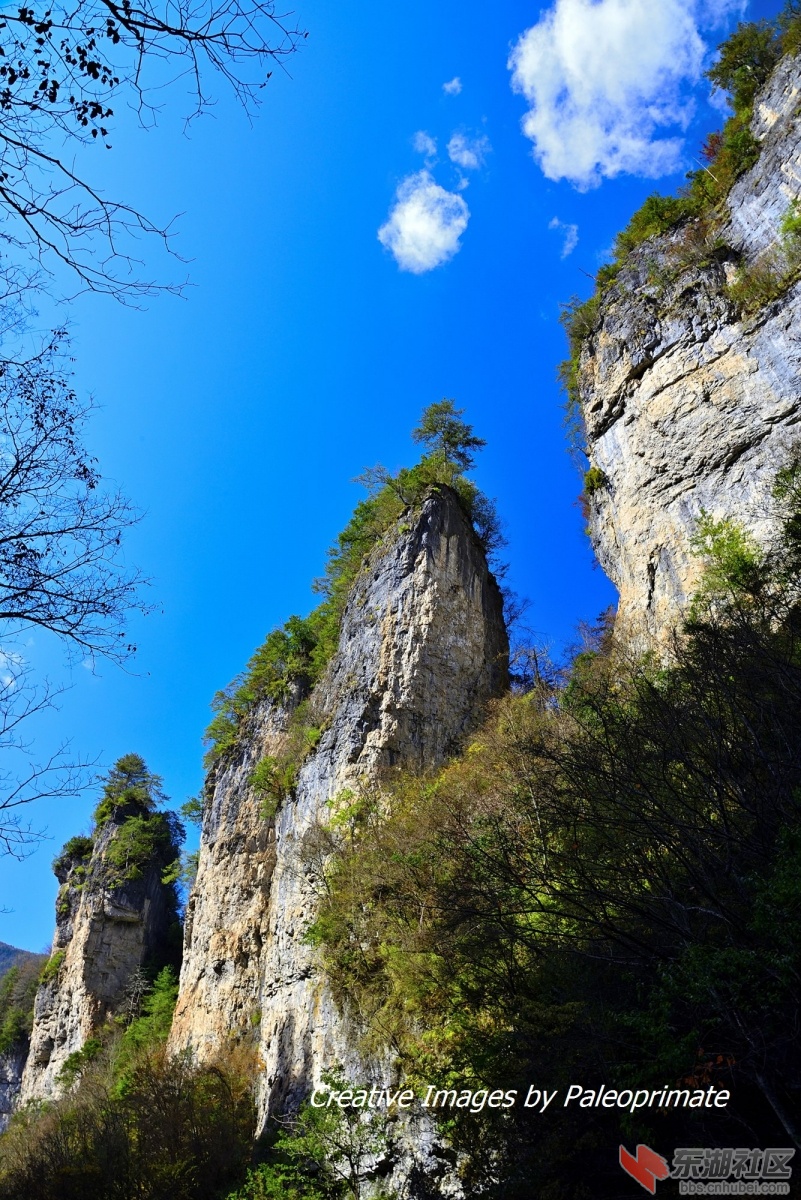 _DSC2038.jpg