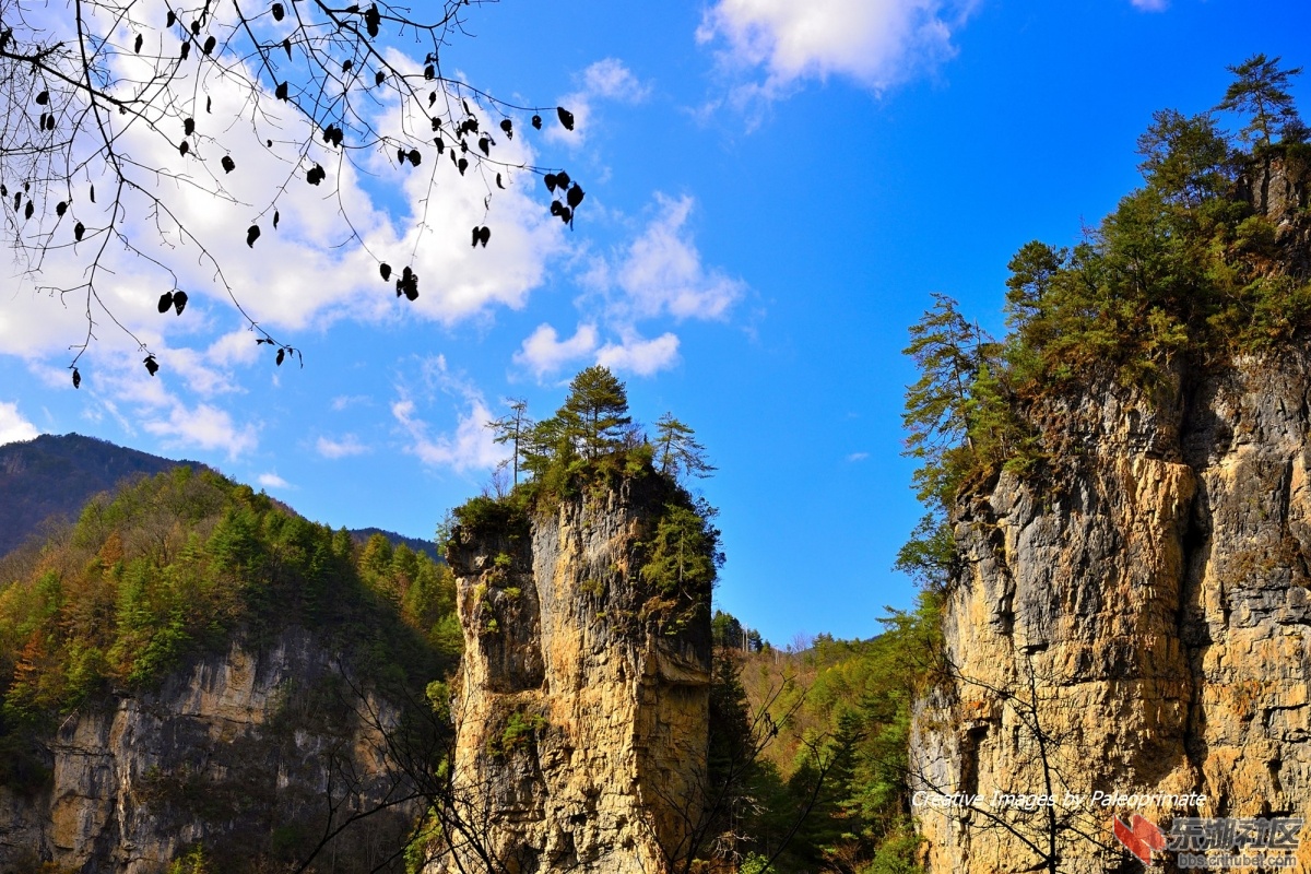 _DSC2091.jpg
