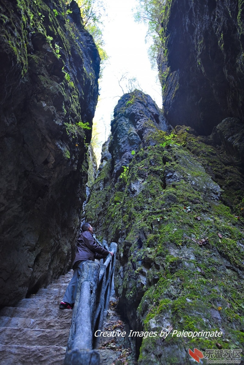 _DSC2060.jpg