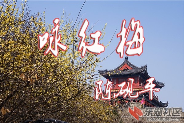 _荆州-2019-宾阳楼001.jpg