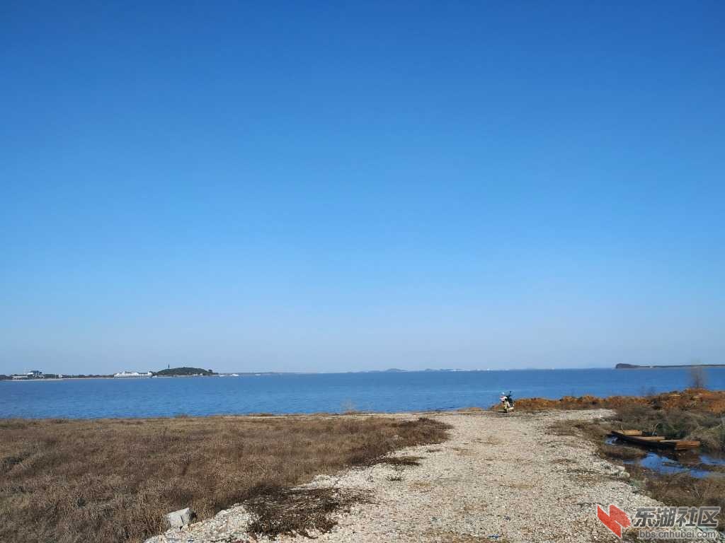 IMG_20200216_162941.jpg