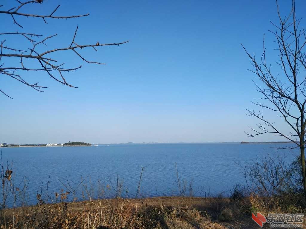 IMG_20200216_164223.jpg