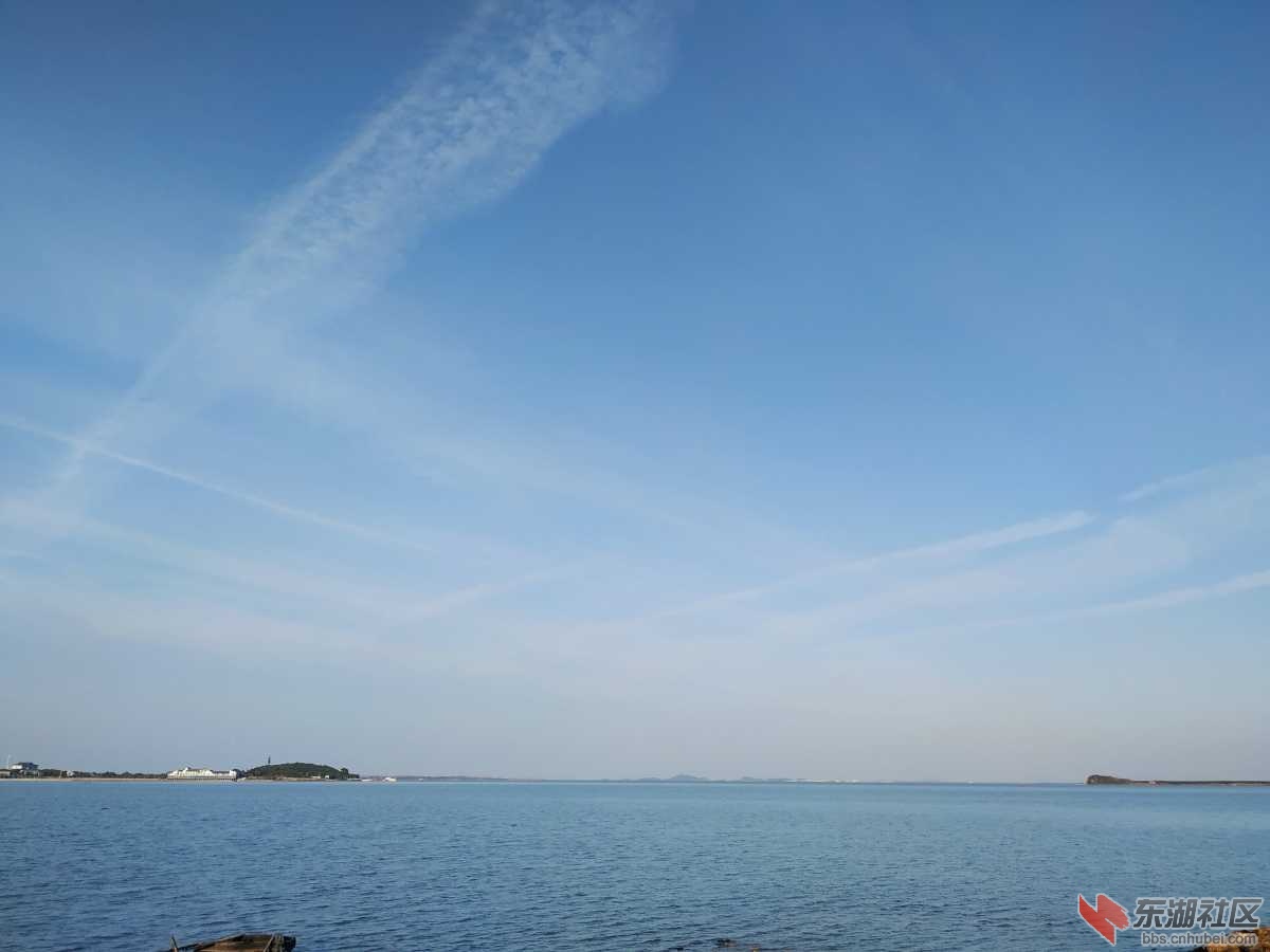 IMG_20200217_170608.jpg