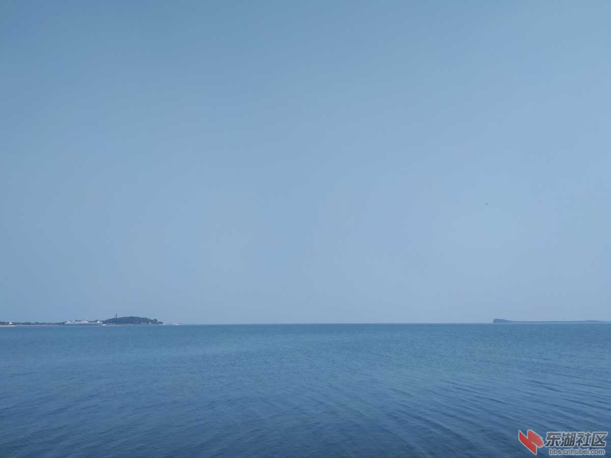 IMG_20200129_134526.jpg