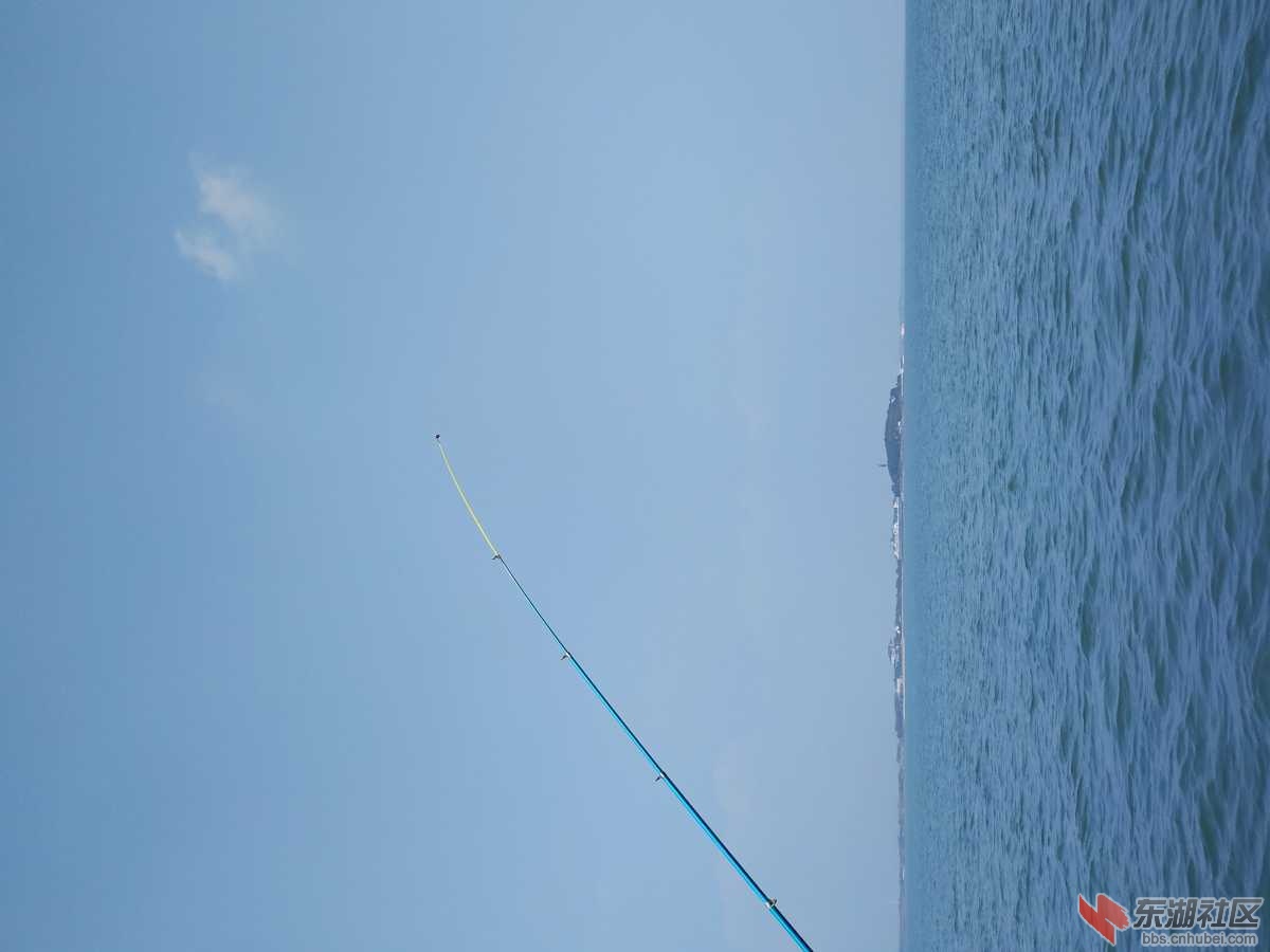 IMG_20200129_143209.jpg