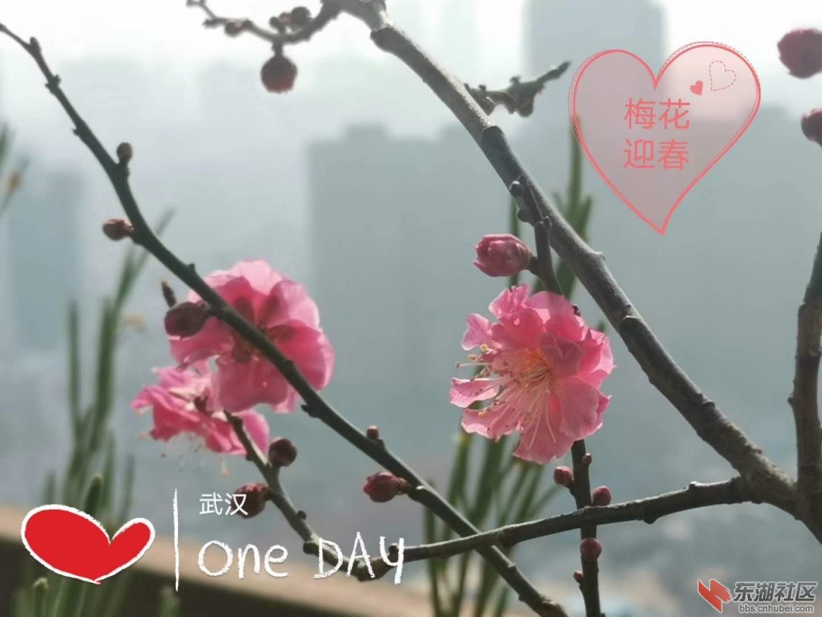 微信图片_20200223113102.jpg