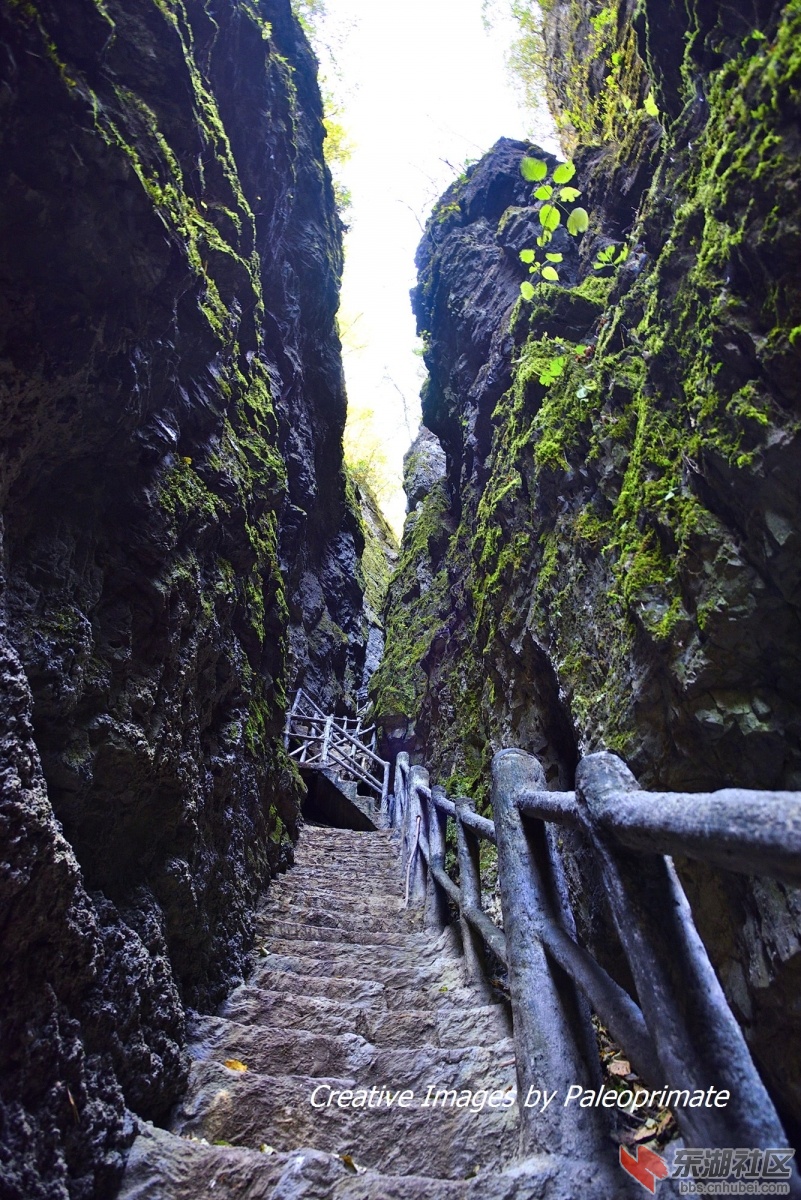_DSC2061.jpg
