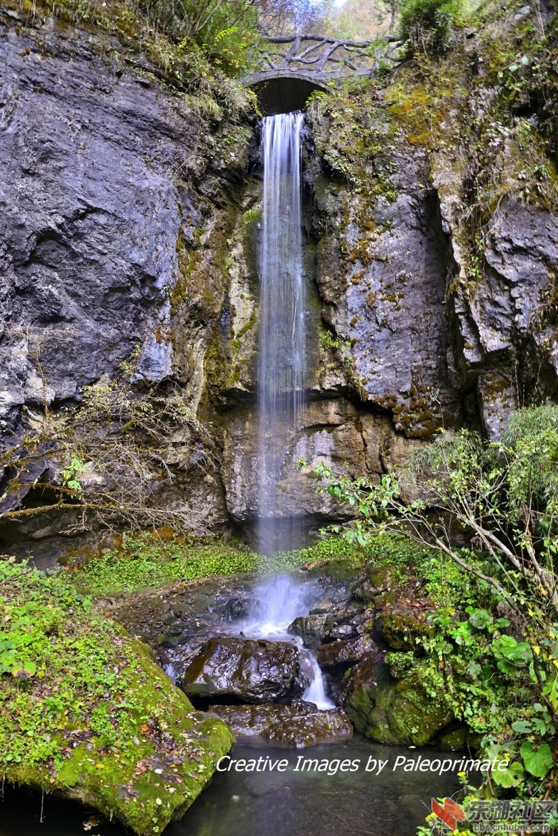 _DSC2098.jpg