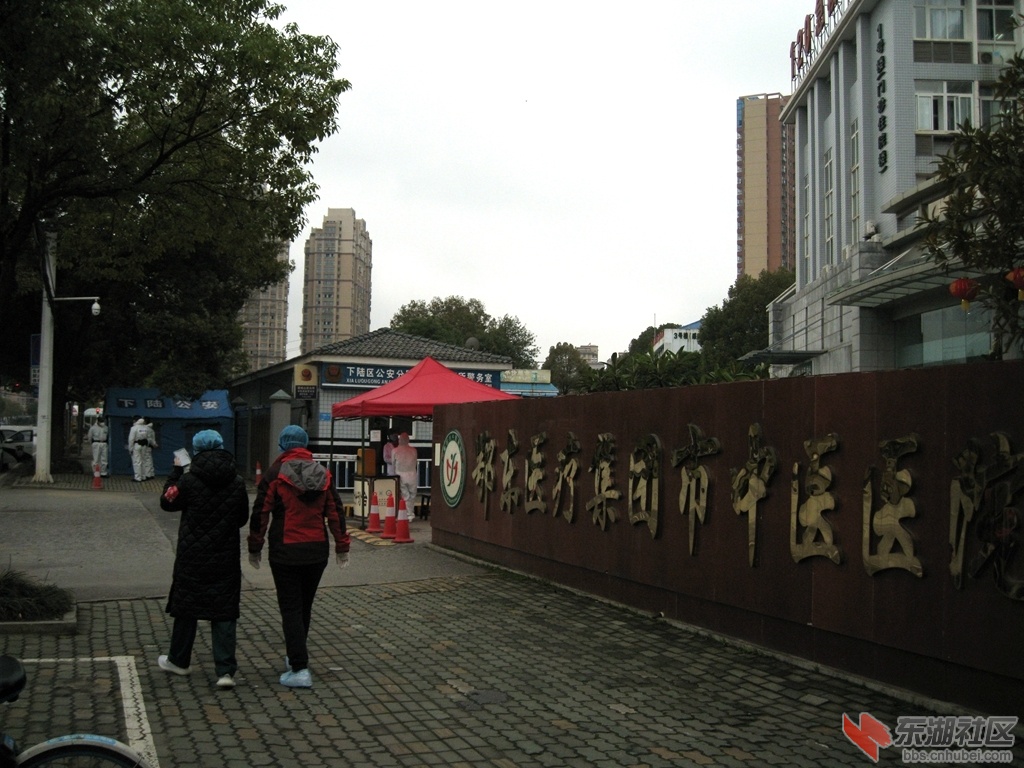 08.jpg