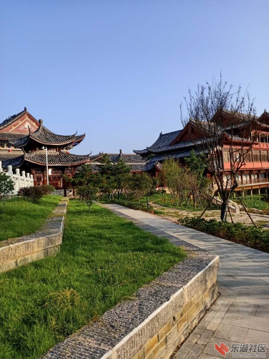 IMG20190715065804.jpg