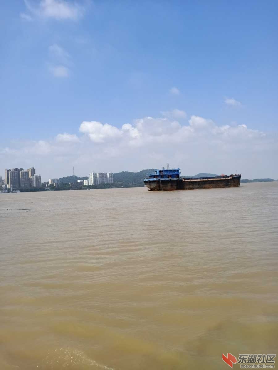 IMG20190715102700.jpg