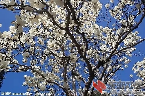 p165337099.webp.jpg