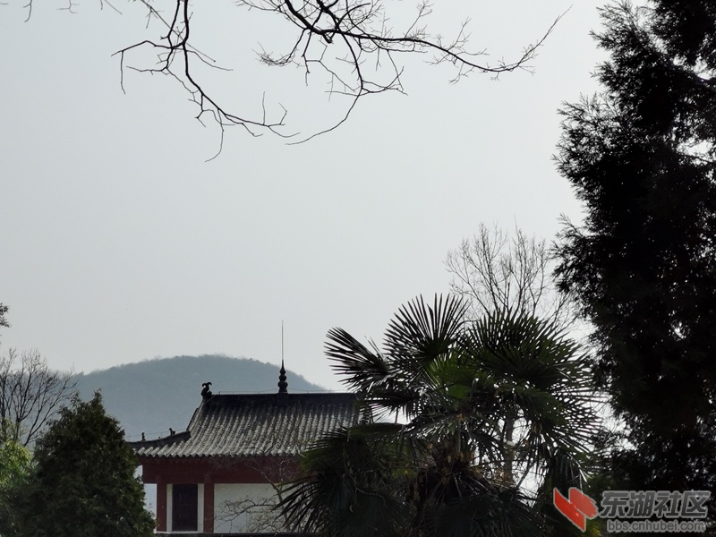 IMG_20200305_105400.jpg