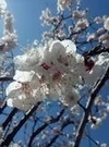 t01ef54ed5c722a12fd.webp.jpg