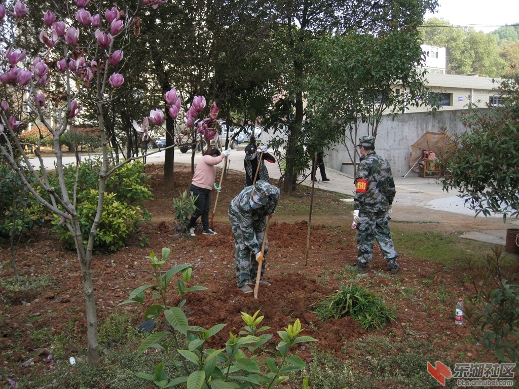 05.jpg