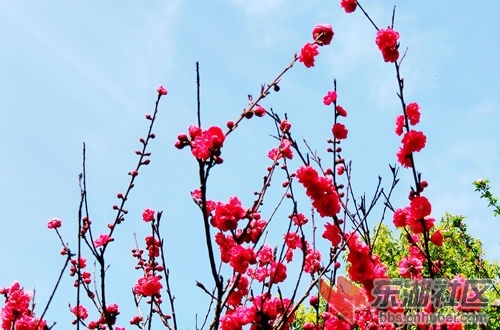 IMG_20200317_131725_1.jpg