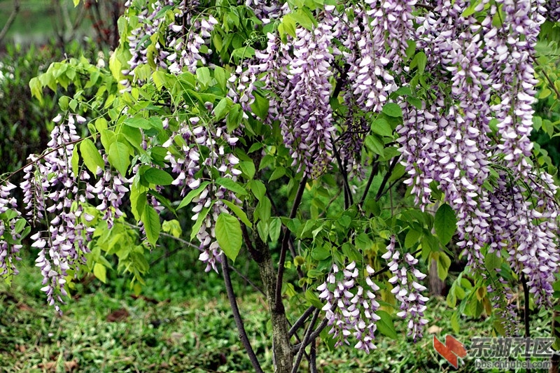 103656xuiz6b752u4e52tu.jpg