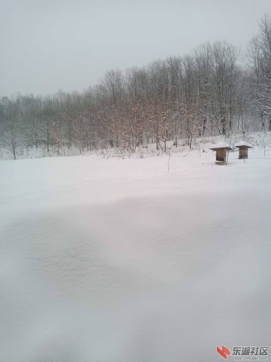 IMG20200327182047.jpg