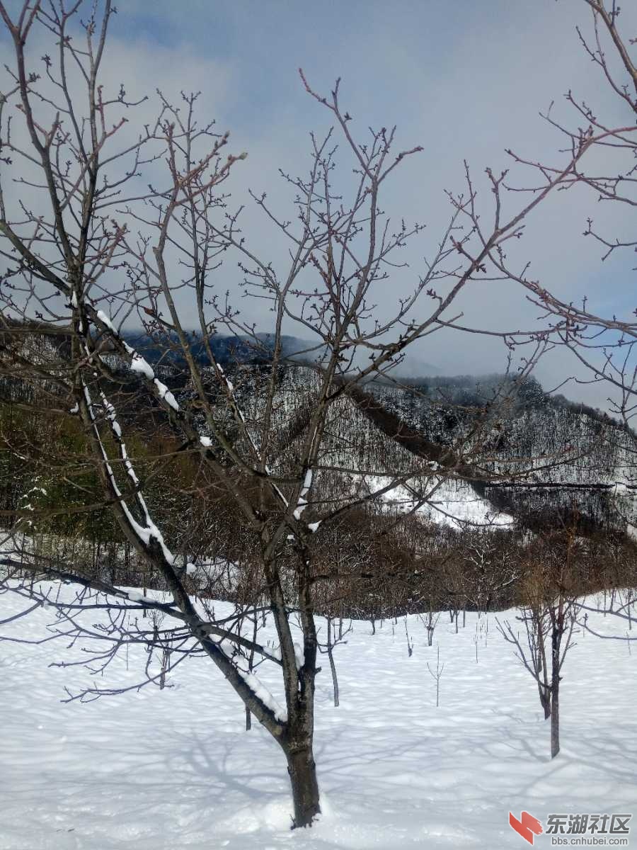 IMG_20200328_110243.jpg