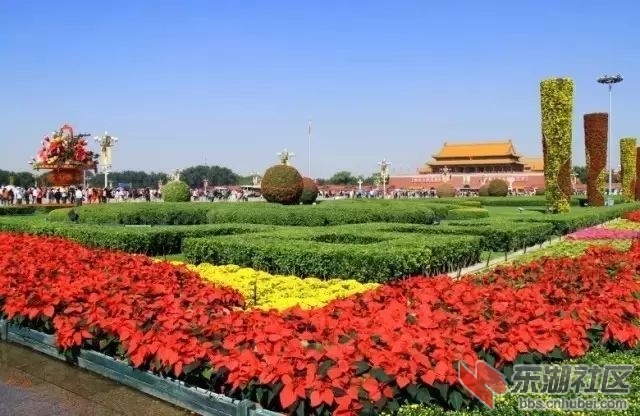微信图片_20200401132506.jpg