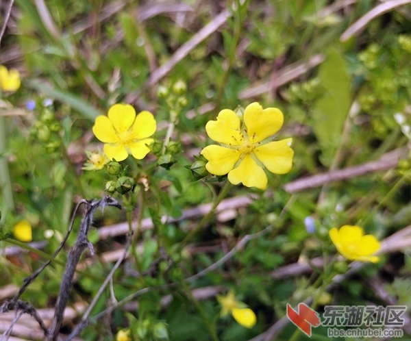 IMG_20200404_141144_副本.jpg