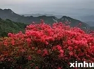 p171224947.webp.jpg