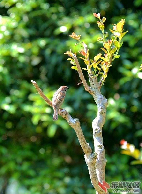 DSC_2529_副本.jpg