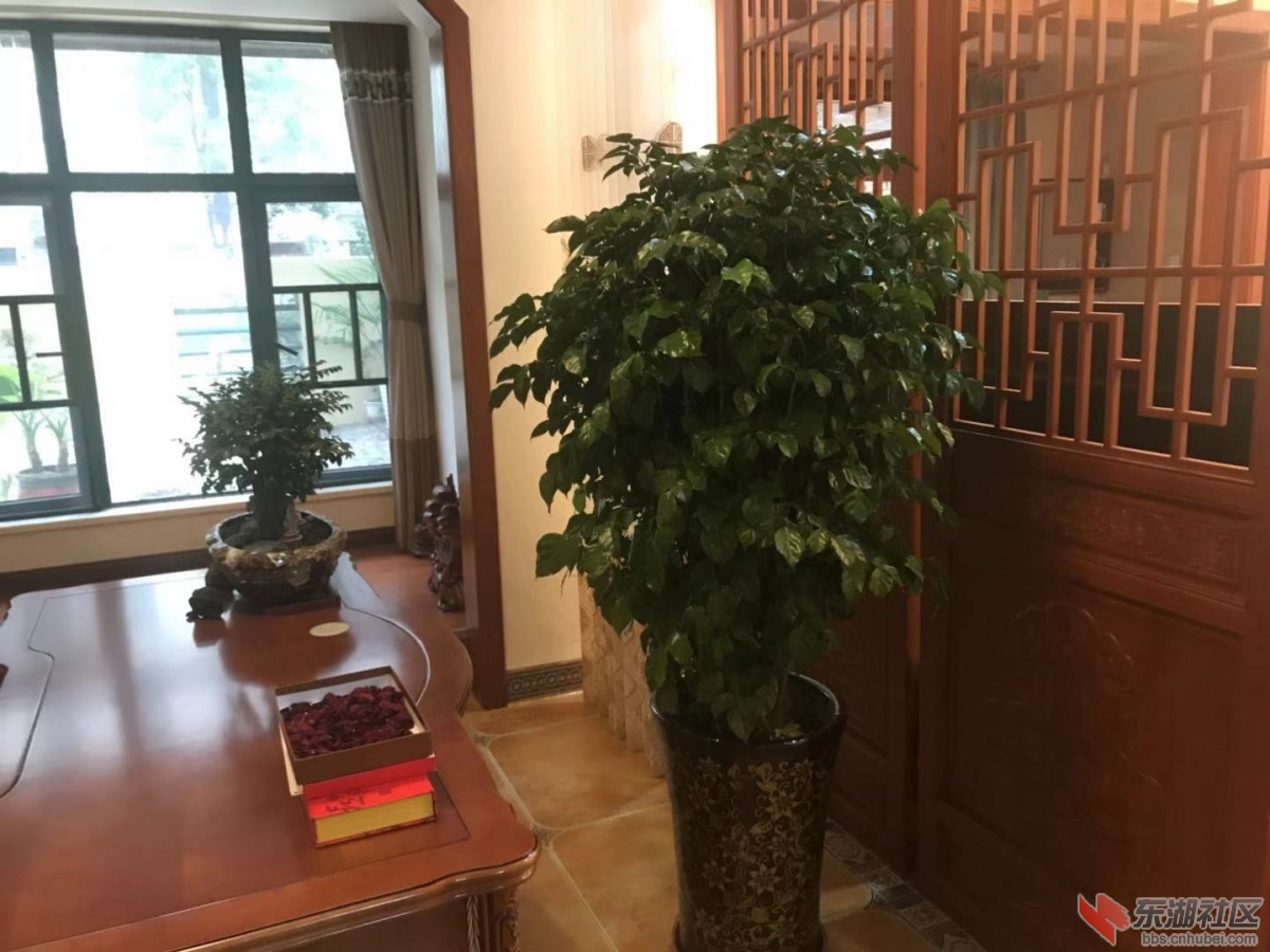 微信图片_20200411175600.jpg
