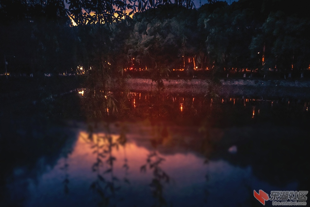 校园夜色曾院平摄影.jpg