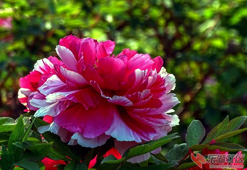 6     DSC03375_副本.jpg
