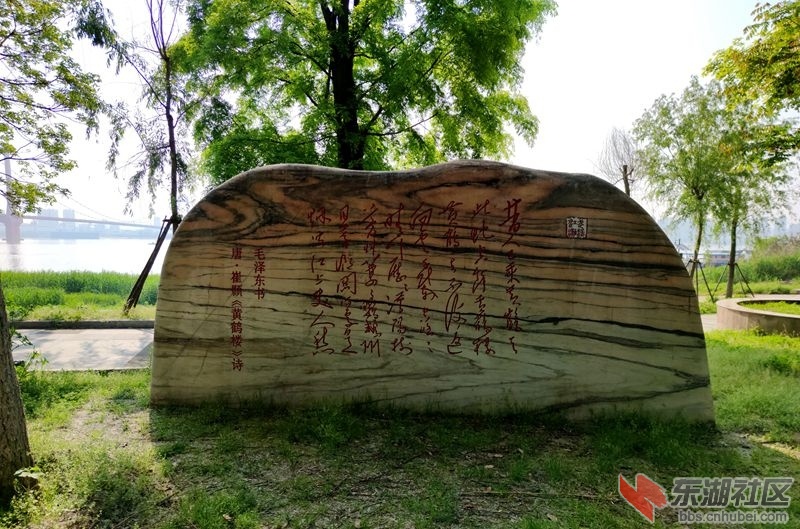 QQ图片20200409181339.jpg