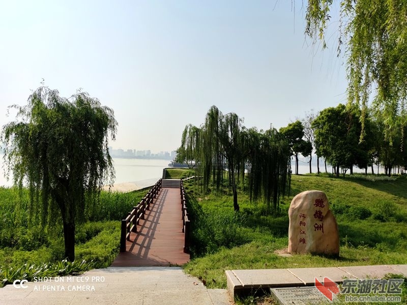 qq图片20200409173936.jpg