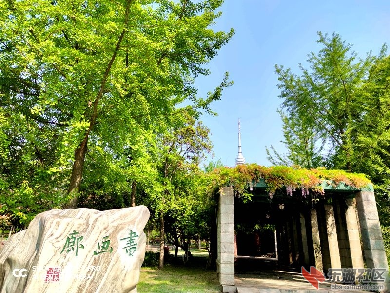 qq图片20200409173400.jpg