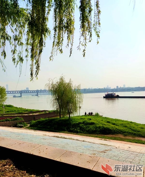QQ图片20200409181332.jpg