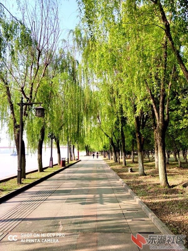 qq图片20200409174111.jpg
