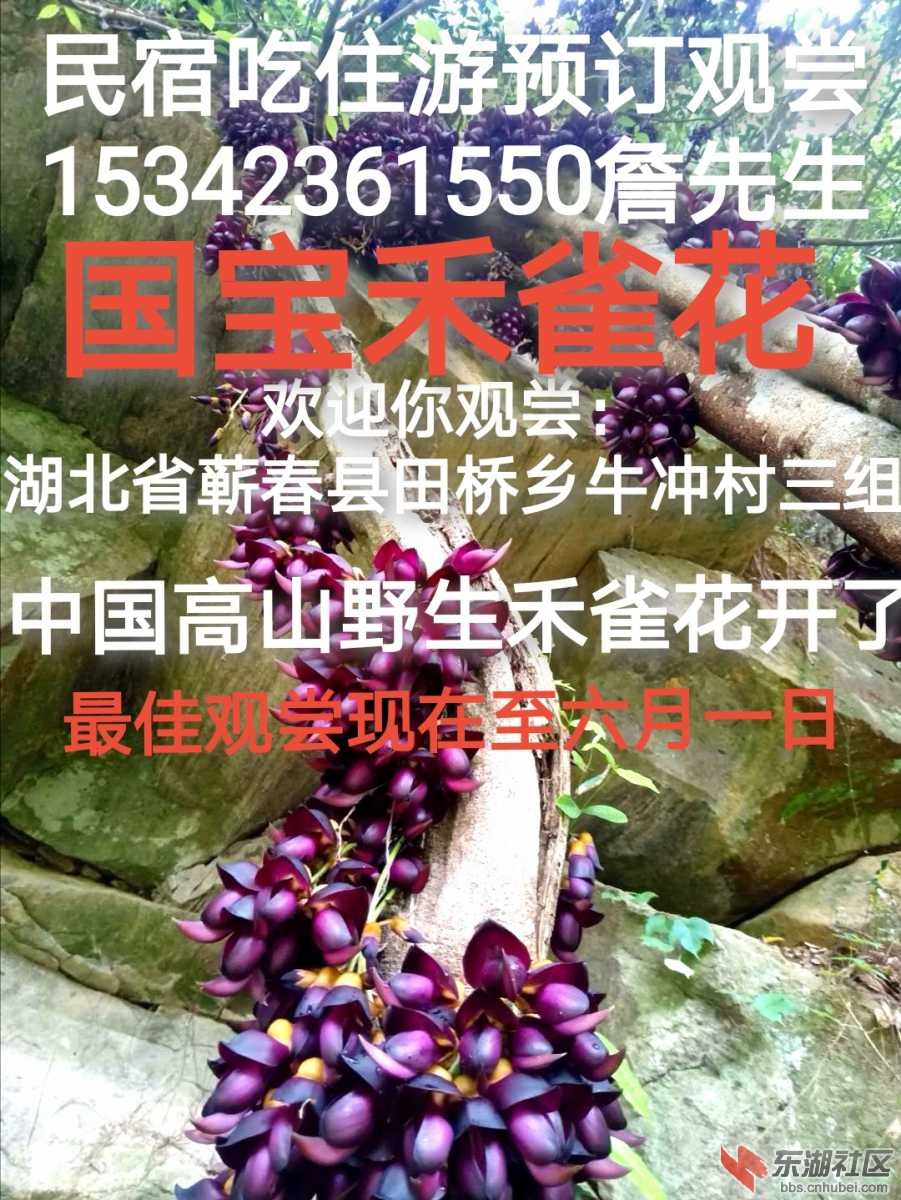IMG_20200418_192535.jpg