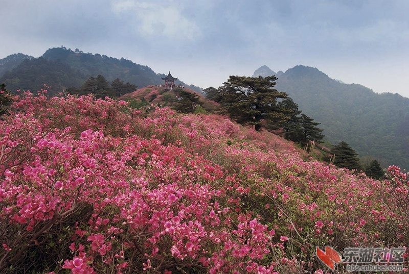 3    10090x000000l2xnz62D2_副本.jpg