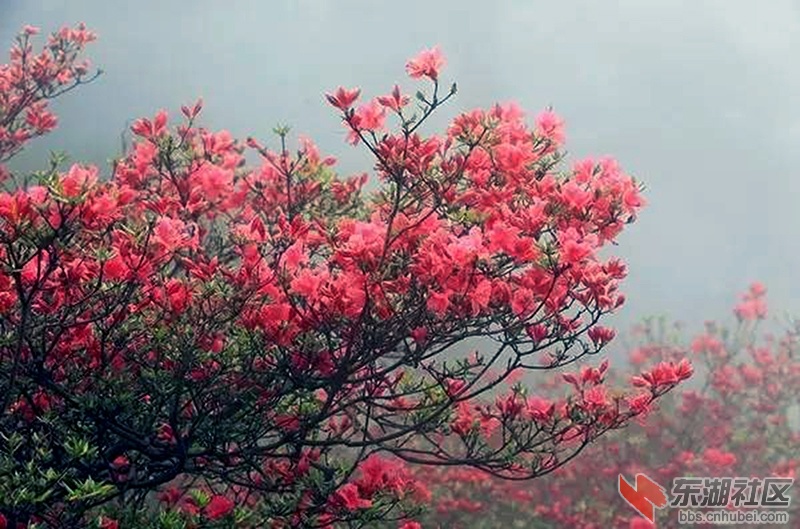 8      b6f8dae0ad0945348c17c306105fe1b7_th_副本.jpg