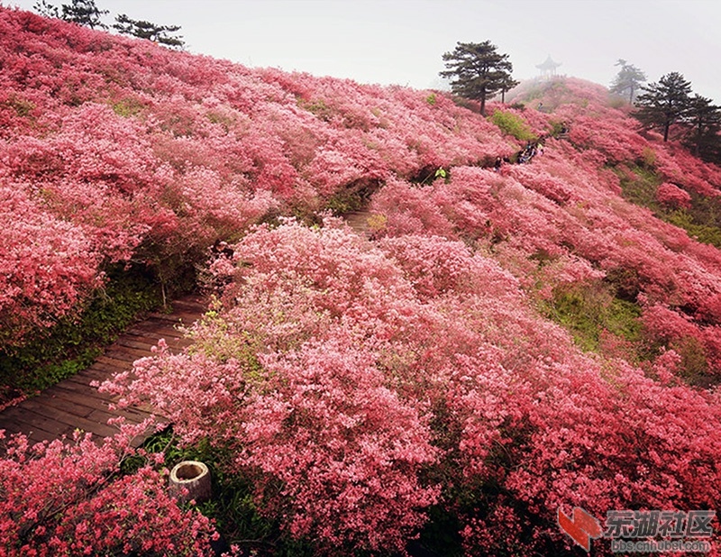 12     FimozbQsHjIeLpraEI9hTNJOdLPh.jpg!730x0_副本.jpg