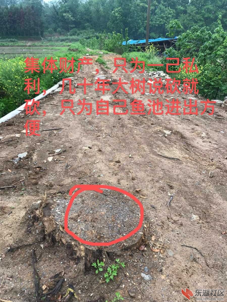 DB131410-8E86-4CD2-BC00-1CB63B50BD1F.jpeg