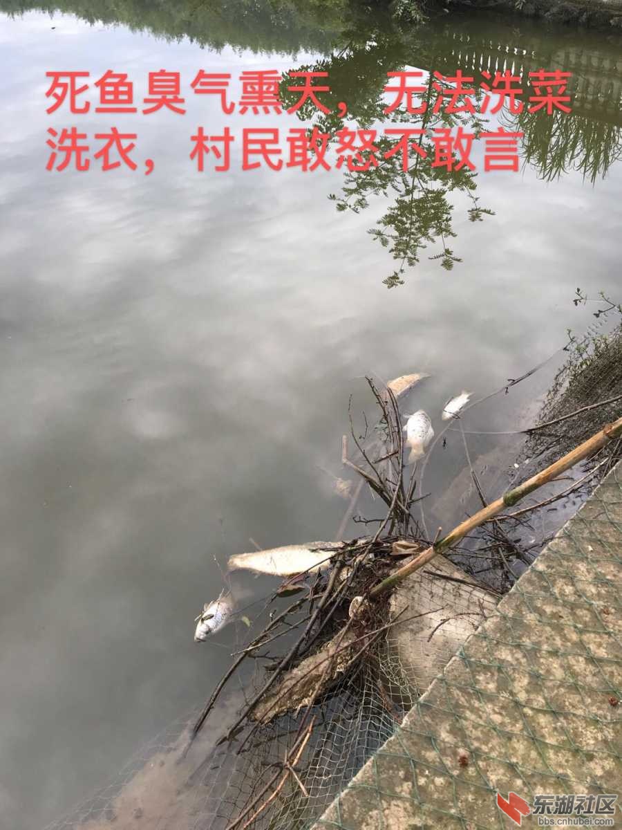 EACCF11F-7E05-41C2-8C6A-CD66D78E92C9.jpeg