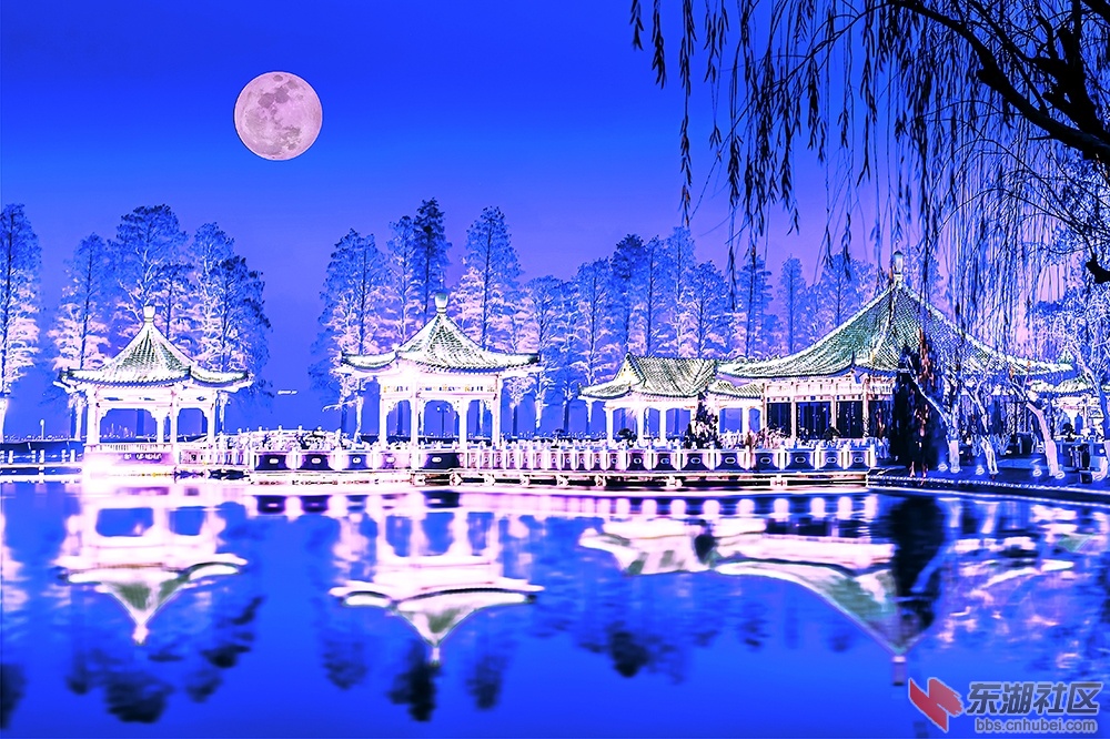 水墨亭影月色明. .曾院平摄影.jpg