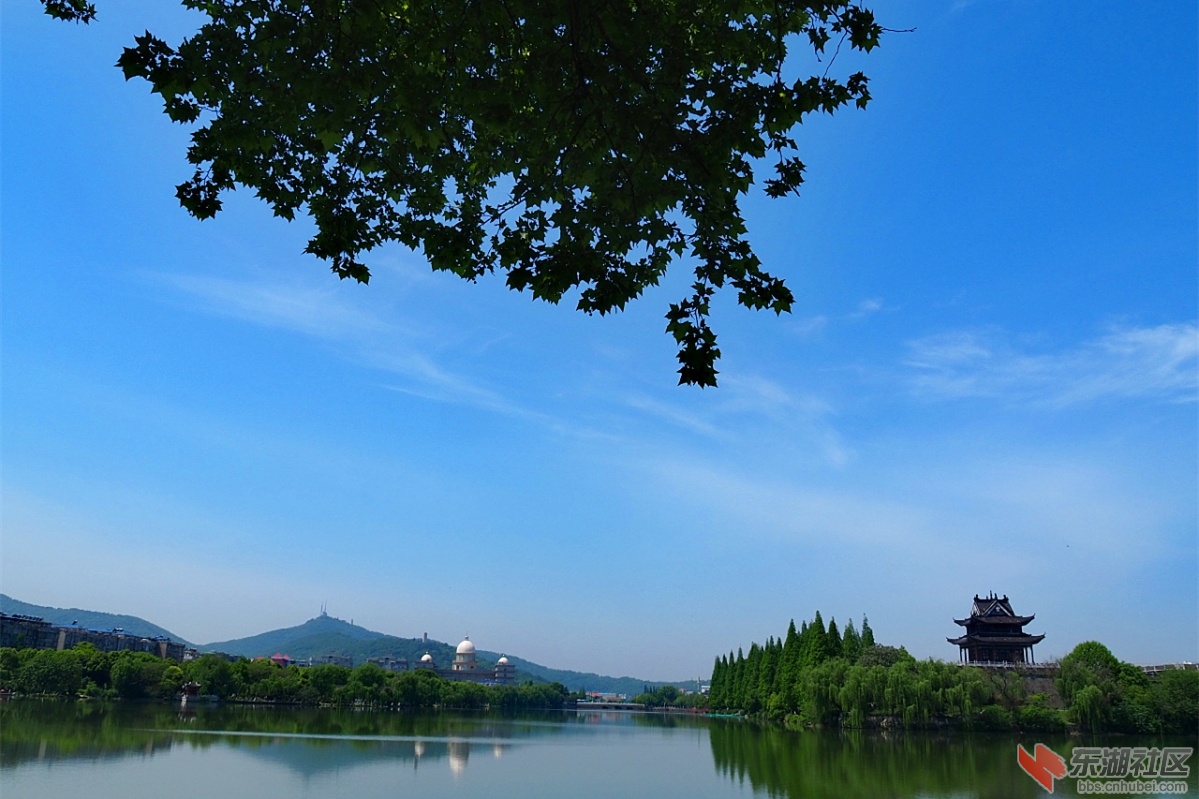 P4250911.jpg