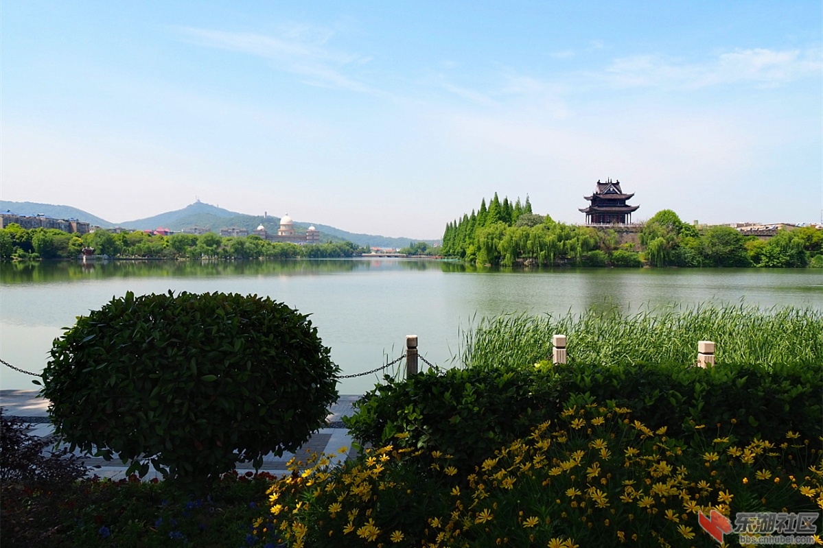 P4250898.jpg