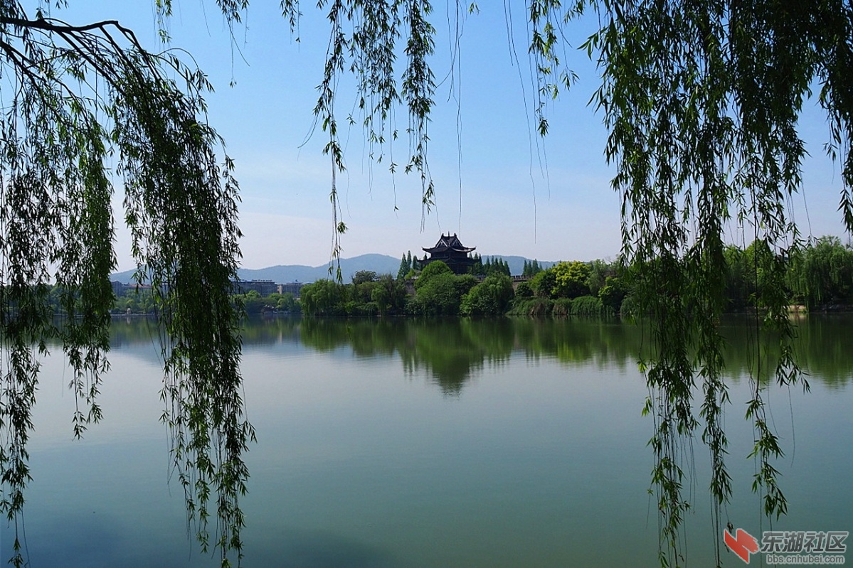 P4250879.jpg
