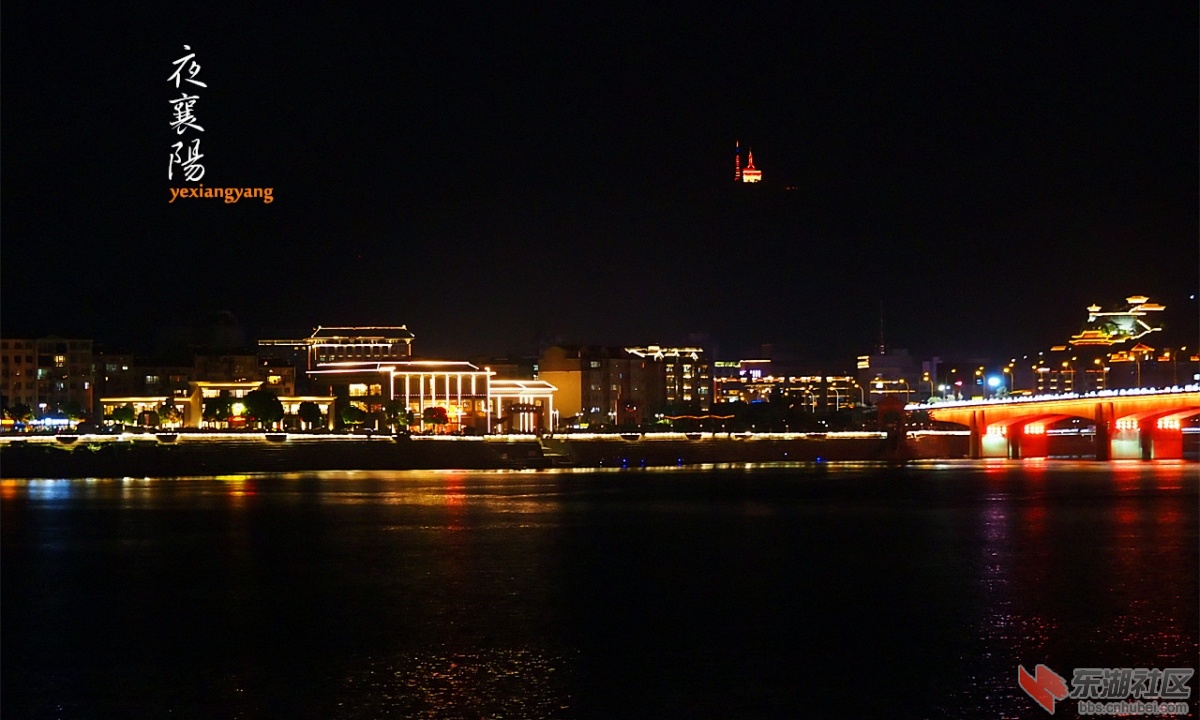 P5031069.jpg