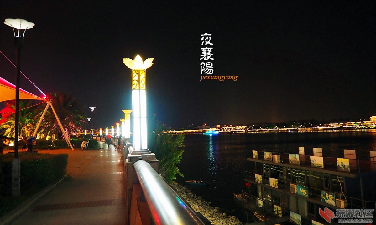 P5031118.jpg