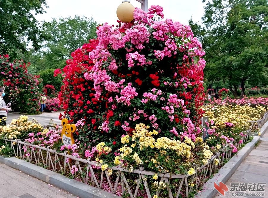 IMG_20200506_154549.jpg