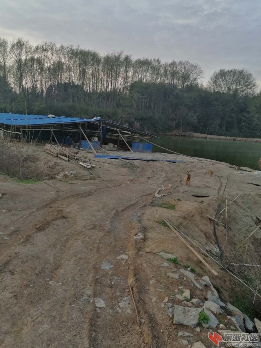 违建鸭棚至今未拆除