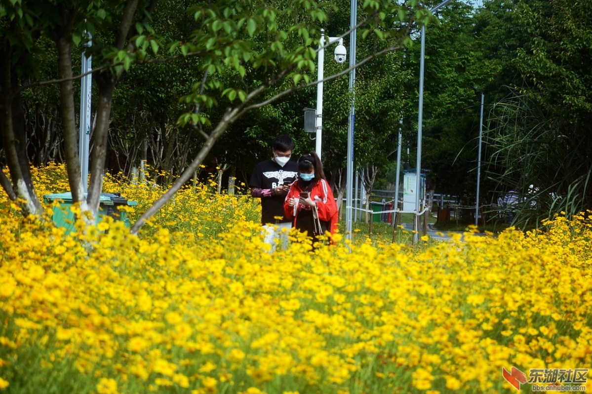DSC_5437.jpg